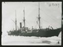 Image of S.S. Thetis in ice pack